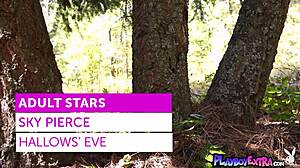 Blondie Forest Halloween