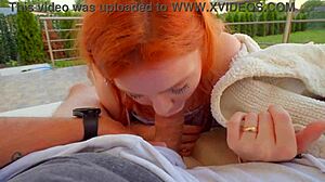 Risky Backyard Swallow