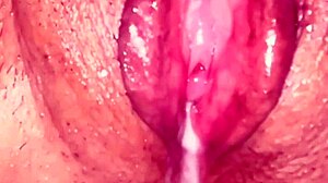 Amateur Creampie Pussy