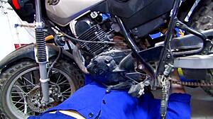 hardcore shaved pussy play