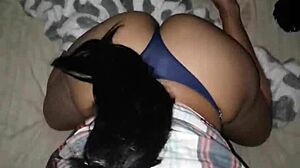 Street Milk Extraction