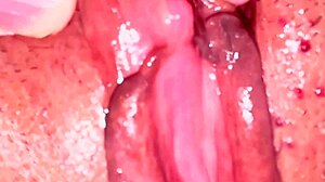 Amateur Creampie Pussy