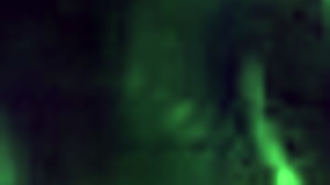 Outdoor Ass Play Caught