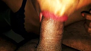 Sexy Cock Sucking Cum