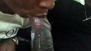 Ebony Public Blowjob