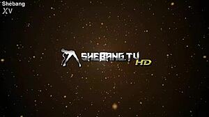 Shebang TV Stars
