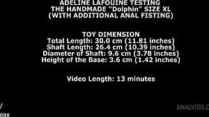 dolphin anal fisting