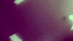 Perfect Blowjob Creampie 💦