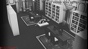 Bookworm Wife Connects