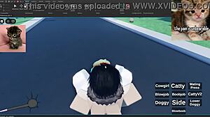 V4 Showcase Activities