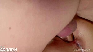 brunette american fuck