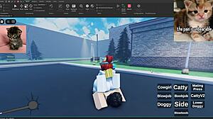 V4 Showcase Activities