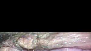 Chubby Latina Pounded