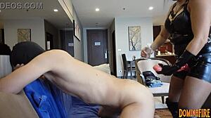 Dominafire Pegs Rene62