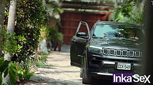 Brazilian Gym Curves