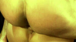 fishnets pussy facial