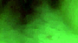 Raw Interracial Passion