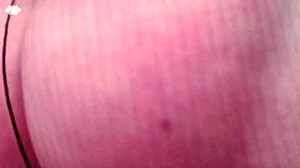 Curvy Pantyhose Model