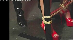 kaera cruz dominated