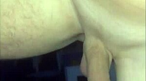 argentinian shemales