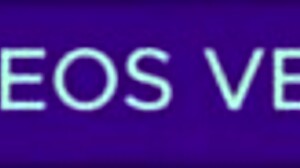 indonesian quick cum