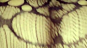 Filipina Anal Fishnets