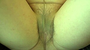 Hairy Pussy Spread