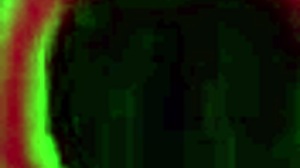 Starr Insatiable Crave