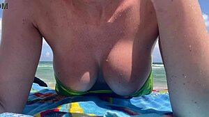 artemisia beach tits