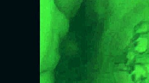  Cock Sloppy Compilation