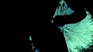 Granny Foursome Orgy