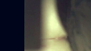  Cock Sloppy Compilation