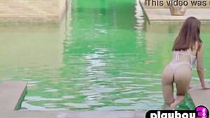 Petite Lingerie Strip