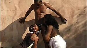 Ebony Group Suck