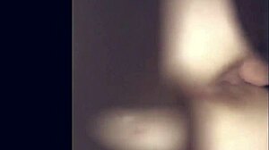  Cock Sloppy Compilation