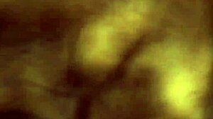 Indian Seduction Strip