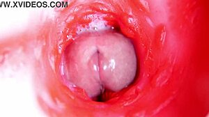 Internal Pussy Camera