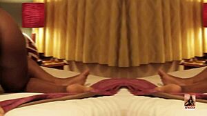 Midnight African Pound