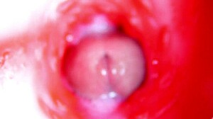 Internal Pussy Camera