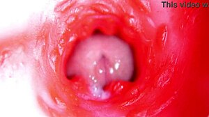 Internal Pussy Camera