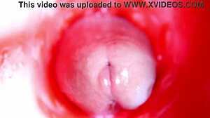 Internal Pussy Camera