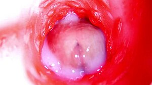 Internal Pussy Camera