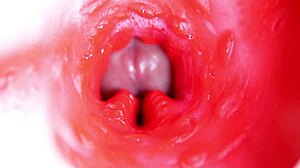 Internal Pussy Camera