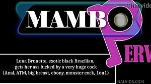 Ebony Ass Fucked