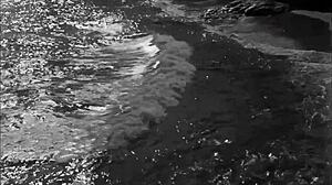 erotic vintage drawings