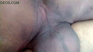 fat pussy creampie