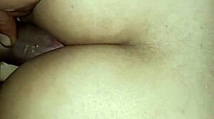 priyanshisharma14 anal dildo