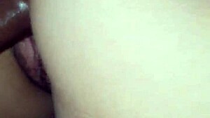 Latina Creampie Fuck