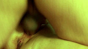 stepmom quickie cheat