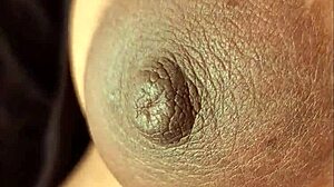 Indian Verification Clip